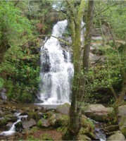 /album/terceiro-ano/imagem1-jpg3/