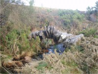 /album/terceiro-ano/imagem9-jpg1/