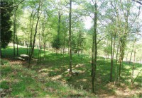 /album/primeiro-ano/imagem1-jpg/