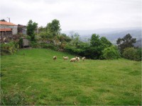 /album/segundo-ano/imagem2-jpg1/