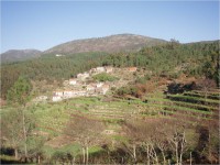 /album/segundo-ano/imagem6-jpg1/