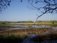 /album/quarto-ano/p3150042-jpg/