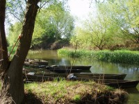 /album/quarto-ano/p3150048-jpg/