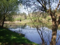 /album/quarto-ano/p3150071-jpg/